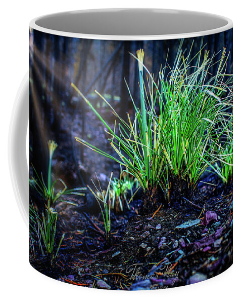 Beargrass Coffee Mug featuring the photograph After the fire by Thomas Nay