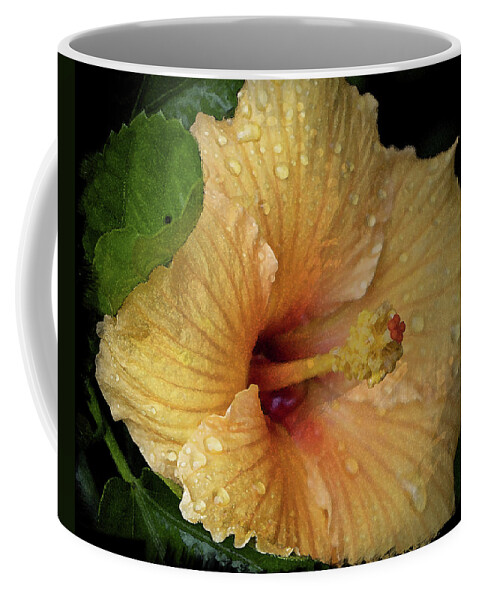 Hibiscus Coffee Mug featuring the photograph After the Rain by M Kathleen Warren