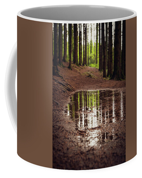 Forest Coffee Mug featuring the photograph After the rains came by Gavin Lewis