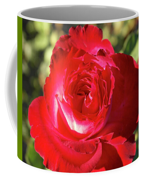 Rose Coffee Mug featuring the photograph Afternoon Red Rose by Michele Myers