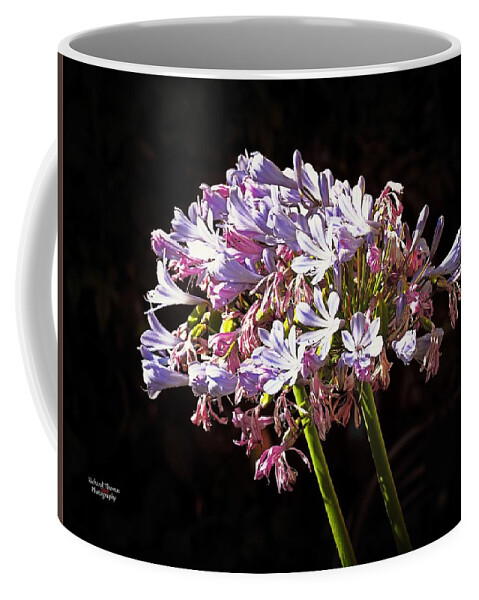 Botanical Coffee Mug featuring the photograph Agapanthus Beauty by Richard Thomas