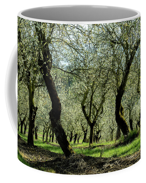 Farming Coffee Mug featuring the photograph Age and Beauty by Leslie Struxness