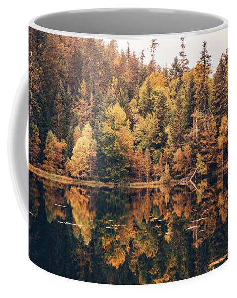 Forest Coffee Mug featuring the photograph Aged Fall by Philippe Sainte-Laudy