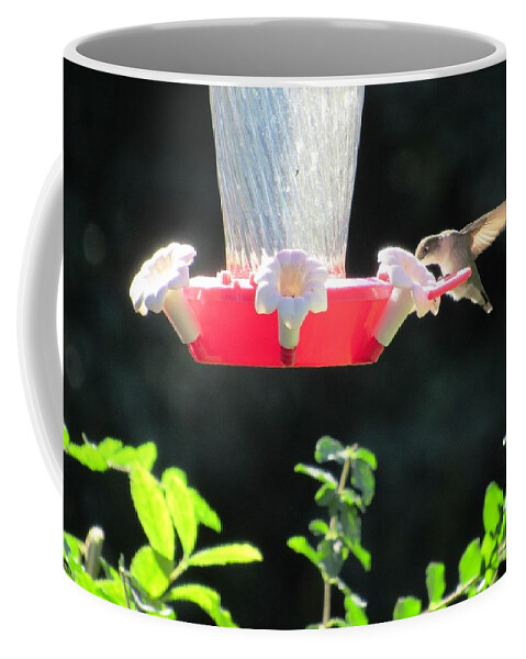 #handsome #hummingbird #bird #central #georgia #red #feeder #black #background Coffee Mug featuring the photograph All By Myself by Belinda Lee