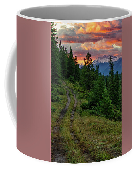 Banff National Park Coffee Mug featuring the photograph All Roads Lead to Home by Darlene Bushue