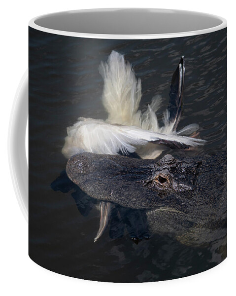 Alligator Coffee Mug featuring the photograph Alligator Eating Bird by Carolyn Hutchins