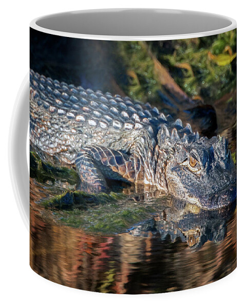 Alligator Coffee Mug featuring the photograph Alligator Reflections by Jaki Miller