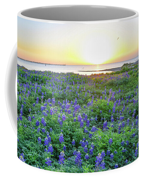 Bluebonnets Coffee Mug featuring the photograph Almost Spring by Christopher Rice