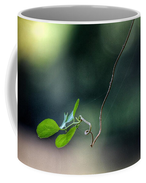 Photo Coffee Mug featuring the photograph Alone Above the River by Evan Foster
