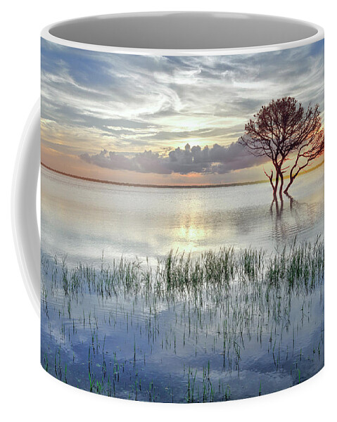 Clouds Coffee Mug featuring the photograph Alone at Sunset in Soft Hues by Debra and Dave Vanderlaan