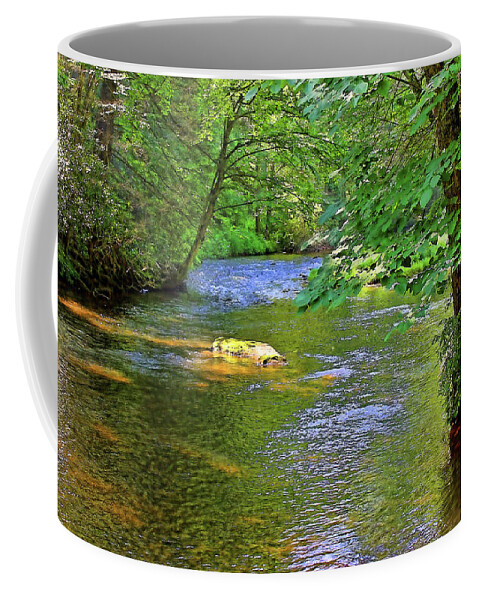Cullasaja River Coffee Mug featuring the photograph Along The Cullasaja River by HH Photography of Florida