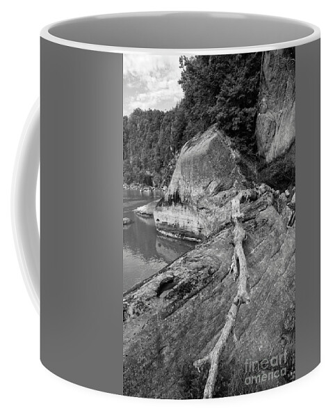 Black And White Coffee Mug featuring the photograph Along The Cumberland River by Phil Perkins