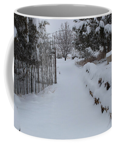 Snow Coffee Mug featuring the photograph Along The Garden Path by Doug Miller