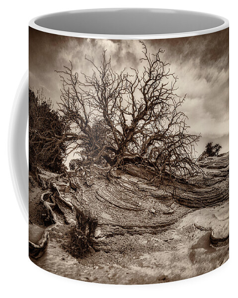 Buck Coffee Mug featuring the photograph Along the Mesa Arch Trail in Monochrome by Kenneth Everett