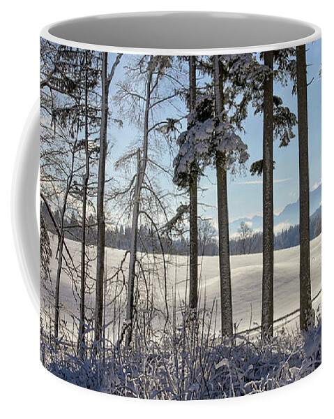 Nag006013 Coffee Mug featuring the photograph Alpine Winter by Edmund Nagele FRPS
