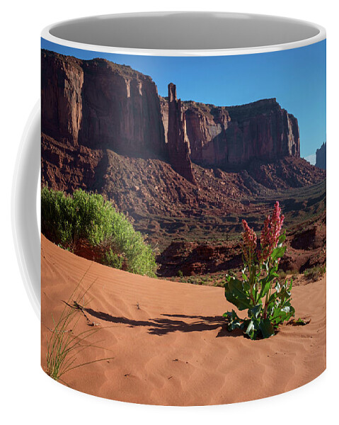 Arizona Coffee Mug featuring the photograph Amaranth Monument Valley Arizona Desert by Mary Lee Dereske