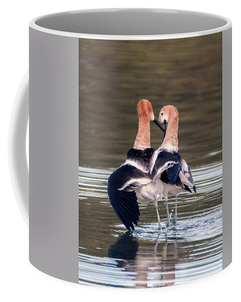 American Avocets Coffee Mug featuring the photograph American Avocets 1653-041221-2 by Tam Ryan