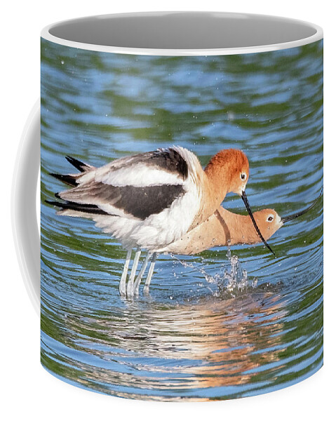 American Avocets Coffee Mug featuring the photograph American Avocets 3155-040822-2 by Tam Ryan