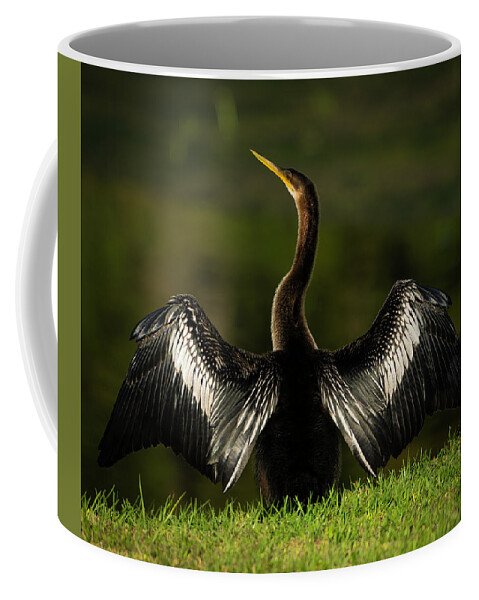 Birds Coffee Mug featuring the photograph American Darter by Larry Marshall