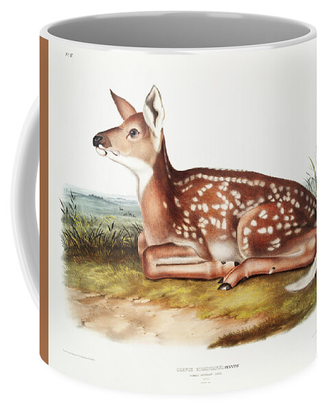 John Woodhouse Audubon Coffee Mug featuring the mixed media American Deer by John Woodhouse Audubon