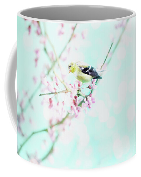 Flower Coffee Mug featuring the photograph American Goldfinch in a Redbud Tree by Stephanie Frey