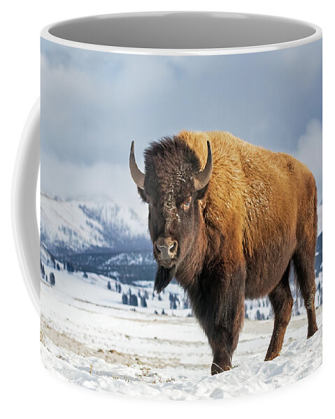 Bison Coffee Mug featuring the photograph American Icon by Jack Bell