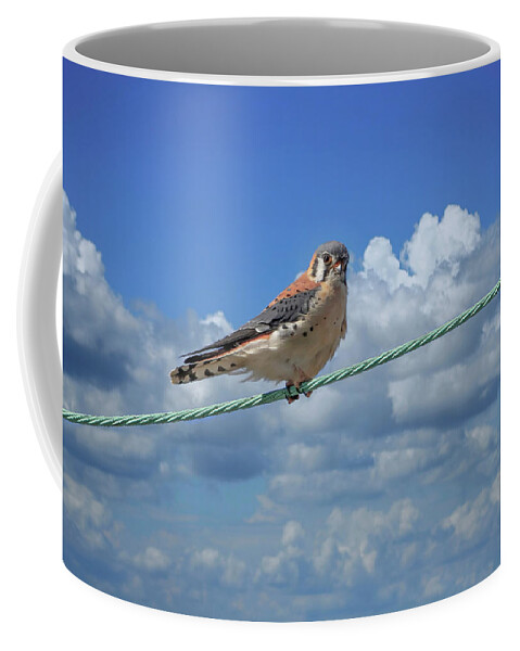 Bird Coffee Mug featuring the photograph American Kestrel by Ron Grafe