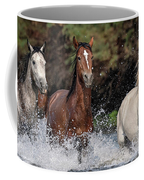 Stallion Coffee Mug featuring the photograph American Stallions. by Paul Martin