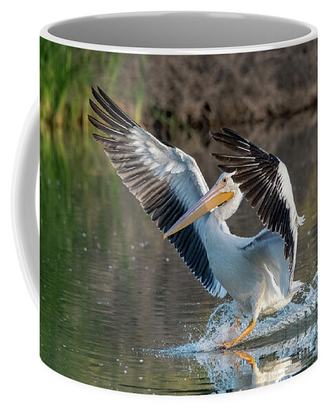 American White Pelican Coffee Mug featuring the photograph American White Pelican 0013-102221-2 by Tam Ryan