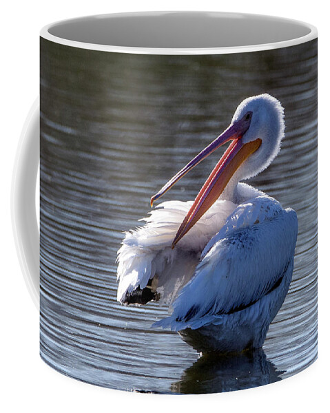 American White Pelican Coffee Mug featuring the photograph American White Pelican 6798-031423-2 by Tam Ryan