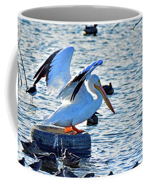 American White Pelican Coffee Mug featuring the photograph American white pelican by Amazing Action Photo Video