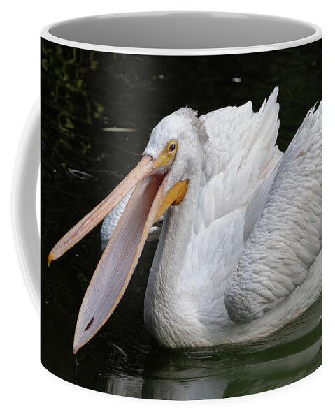 American Coffee Mug featuring the photograph American White Pelican With Open Beak by Artur Bogacki