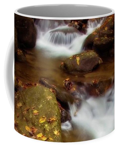 River Coffee Mug featuring the photograph Amicalola Stream in Fall by Marjorie Whitley