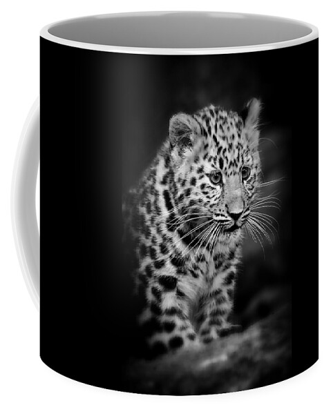 Amur Coffee Mug featuring the photograph Amur Leopard Cub - B/W by Chris Boulton