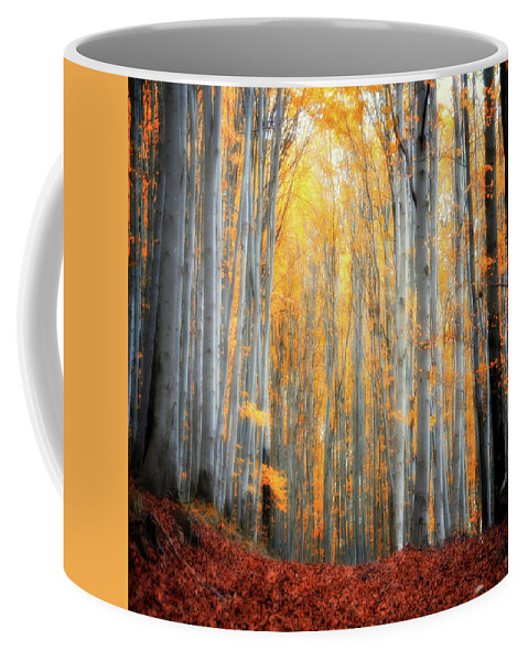 Autumn Coffee Mug featuring the photograph An Autumn in the Forest by Philippe Sainte-Laudy