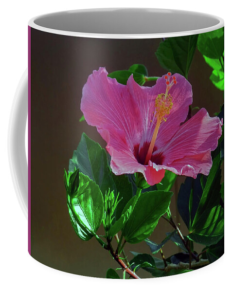 Hibiscus Coffee Mug featuring the photograph An Explosion of Pink by Laura Putman