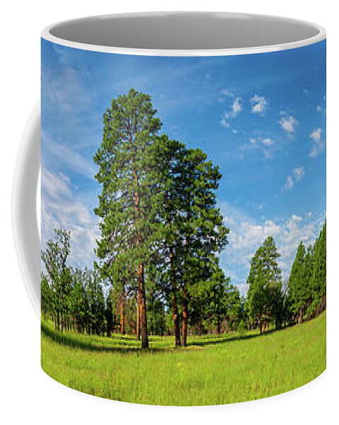 Arizona Coffee Mug featuring the photograph Anasazi Meadow on Campbell Mesa by Jeff Goulden