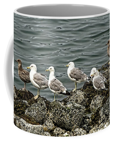 Coast Coffee Mug featuring the photograph And The Crowd Cheers by DADPhotography