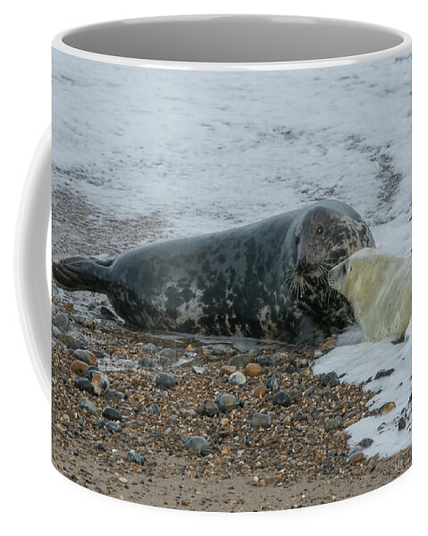 Grey Seal Coffee Mug featuring the photograph And This is the Sea... by Wendy Cooper