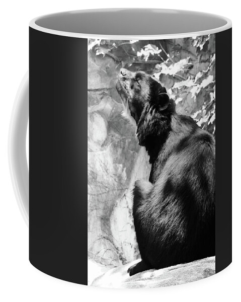 Andean Bear Coffee Mug featuring the photograph Andean Bear Catching Rays bw by Emmy Marie Vickers