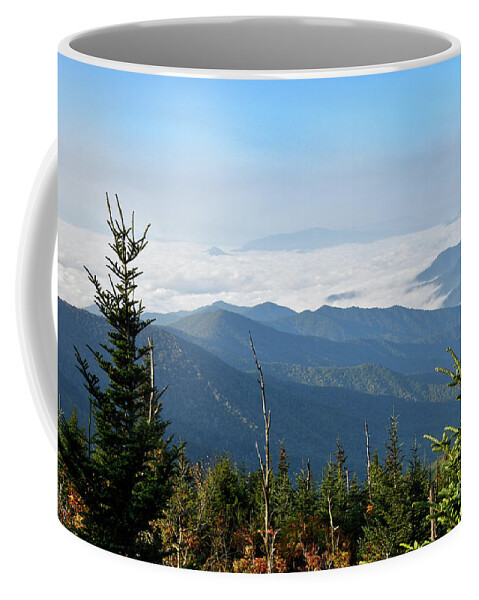 Andrews Bald Coffee Mug featuring the photograph Andrews Bald 10 by Phil Perkins