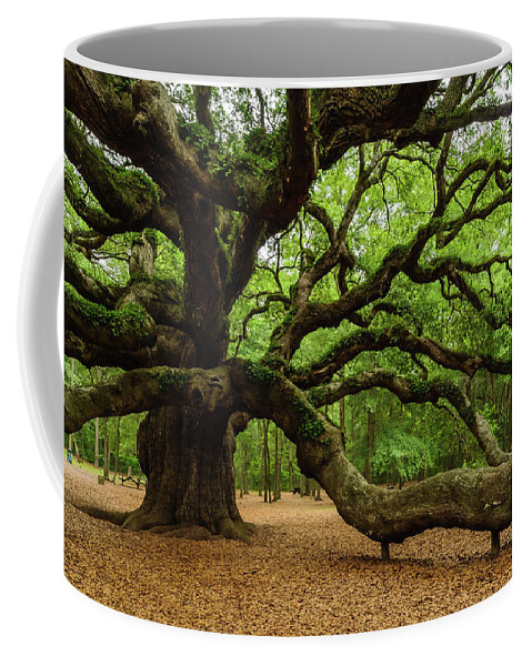 Angel Coffee Mug featuring the photograph Angel Oak's tree Longest branch by Louis Dallara