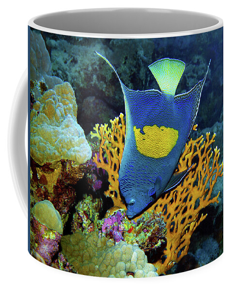 Angelfish Coffee Mug featuring the photograph Angelfish at coralreef - by Ute Niemann