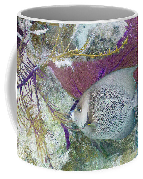 Animals Coffee Mug featuring the photograph Angelic by Lynne Browne