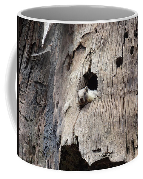 Animal Coffee Mug featuring the photograph Animal by Joelle Philibert