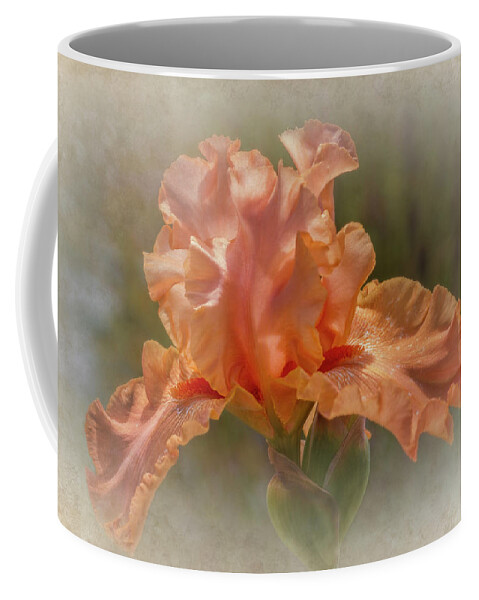 Flowers Coffee Mug featuring the photograph Apricot Iris 3 by Elaine Teague