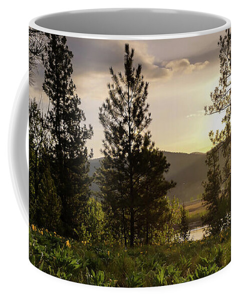 Balsam Root Flowers Coffee Mug featuring the photograph Another New Day by Linda McRae