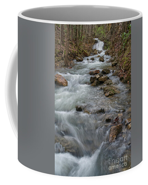 Triple Falls Coffee Mug featuring the photograph Another Waterfall On Bruce Creek 4 by Phil Perkins