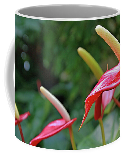 Flora Coffee Mug featuring the photograph Anthurium by Tom Watkins PVminer pixs