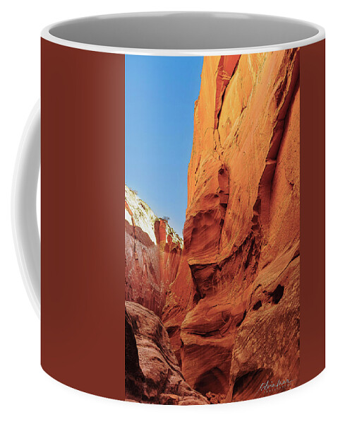 Landscape Coffee Mug featuring the photograph Antilope Series 6 by Silvia Marcoschamer